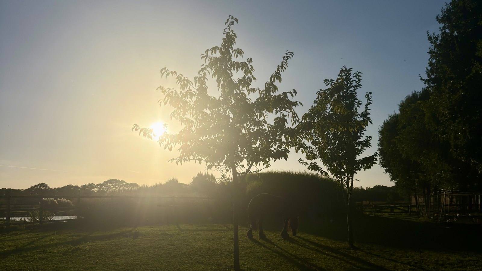 Avondzon op het erf van Zorgboerderij Annabelle in Westerhoven