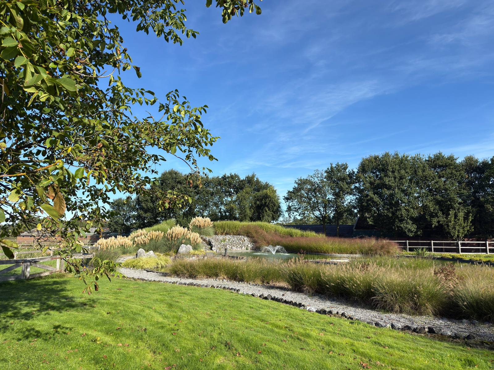 Tuin met siergrassen, een grindpad en een vijver met fontein op het erf van Zorgboerderij Annabelle
