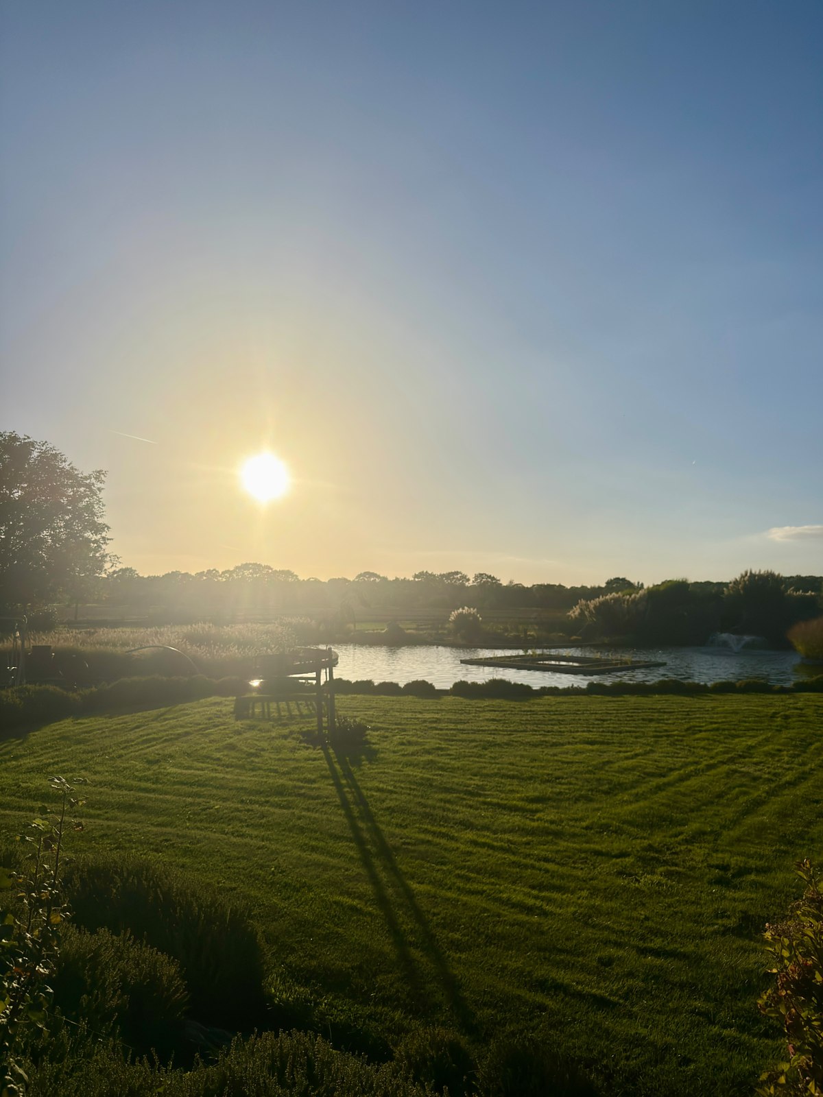 De vijver op het erf van Zorgboerderij Annabelle in de avondzon