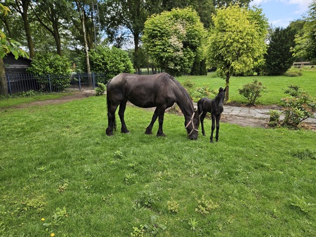Dagbesteding voor iedereen, Zorgboerderij Annabelle