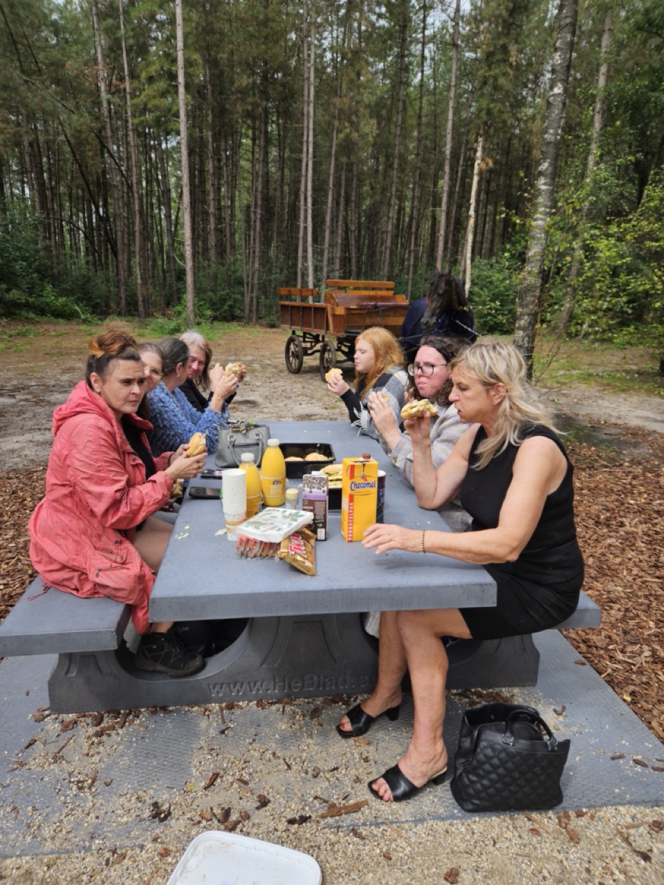 Met aandacht en in eigen tempo op Zorgboerderij Annabelle