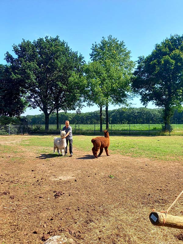 Sfeerbeeld Zorgboerderij Annabelle