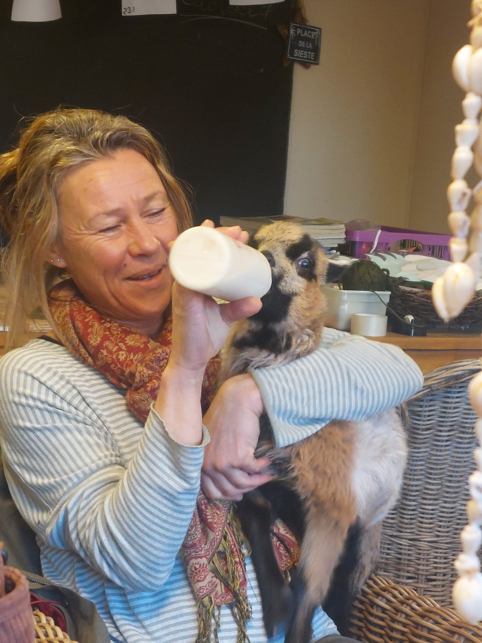 Dagbesteding bij Zorgboerderij Annabelle