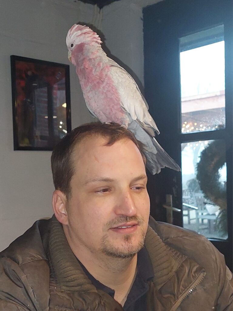 Zorgboerderij Annabelle fotoalbum3