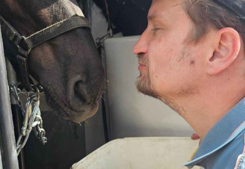 Man met paard die een kussende beweging maakt bij zorgboerderij Annabelle, dagbesteding.