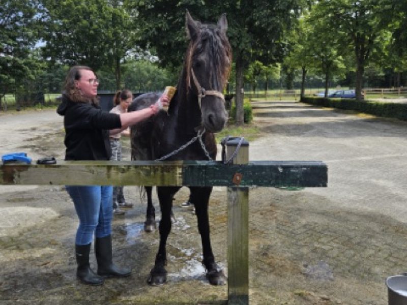 zorgboerderij-annabelle-dagbesteding-activiteiten zorgboerderij annabelle dagbesteding activiteiten