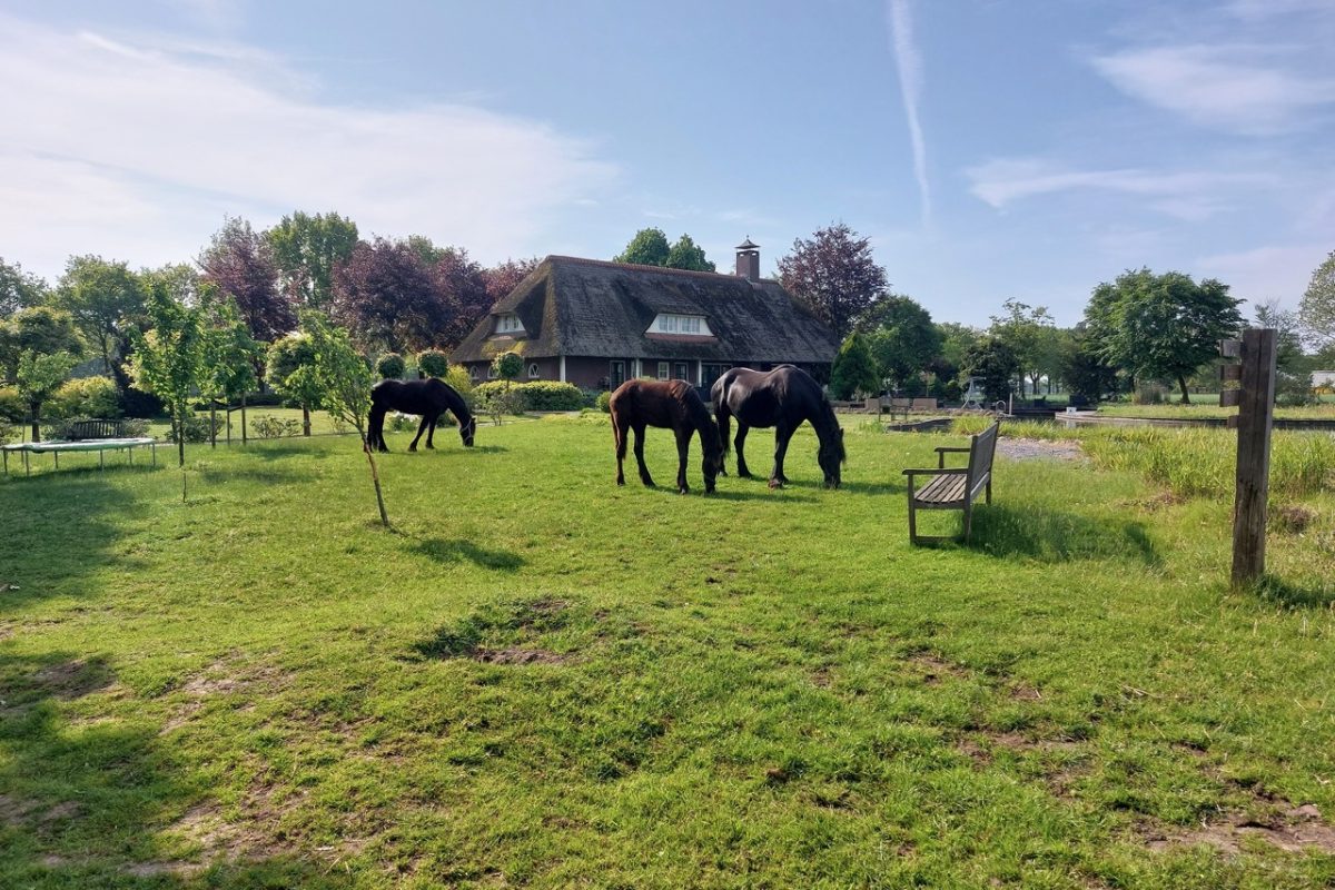 zorgboerderij annabelle westerhoven